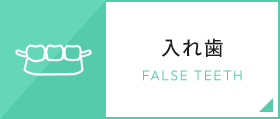 入れ歯 FALSE TEETH